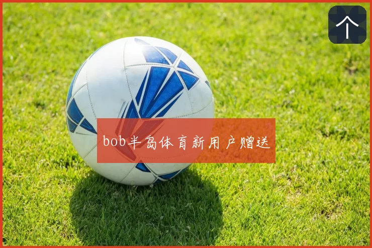 bob半岛体育新用户赠送