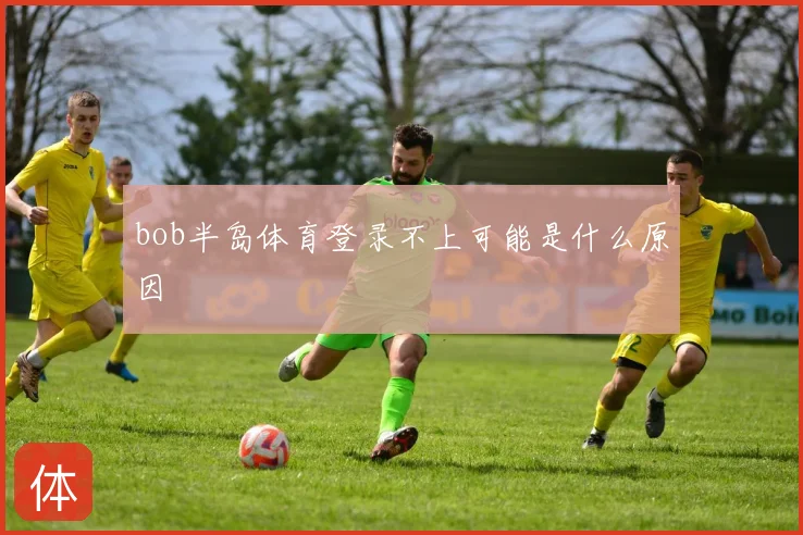 bob半岛体育登录不上可能是什么原因
