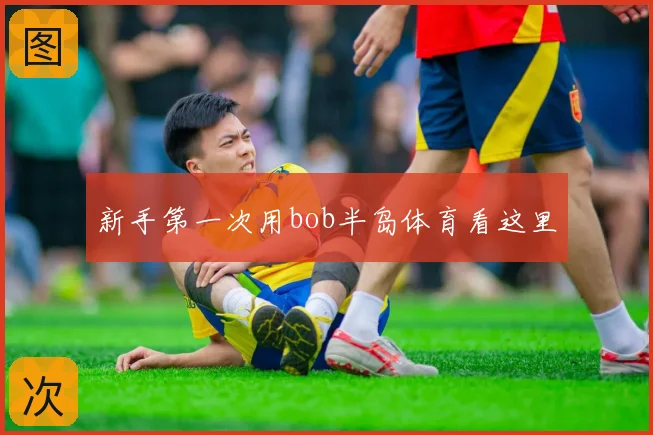 新手第一次用bob半岛体育看这里